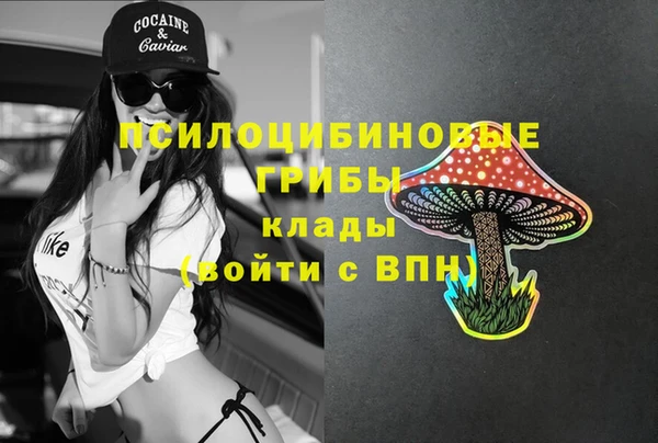 наркотики Алексин